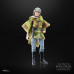 Princess Leia (Endor) Black Series 6 inch 40th Anniversary