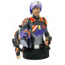 Sabine Wren 1:6 Scale Collectible Mini Bust Sabine Wren 1:6 Scale Collectible Mini Bust