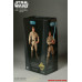 Luke Skywalker Bespin 12 inch Action Figure Sideshow Exclusive Luke Skywalker Bespin 12 inch Action Figure Sideshow Exclusive