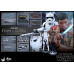 Hot Toys Finn/Riot Control Stormtrooper 2-pack Sixth Scale Figs