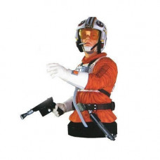 Luke Skywalker Snowspeeder Pilot Deluxe Mini Bust