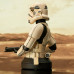 Stormtrooper (Remnant)  1:6 Scale Mini-Bust