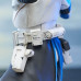 Captain Rex 1:7 Scale Collectible Statue