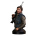 Cassian Andor 1:6th Scale Collectible Mini Bust