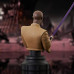 Clone Wars Mace Windu 1:7 Scale Mini-Bust - Star Wars