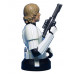 Star Wars Luke Skywalker (Stormtrooper Disguise) 1:6 Scale Mini-Bust 2004 Convenstion Exclusive